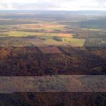очень зеленая эстония